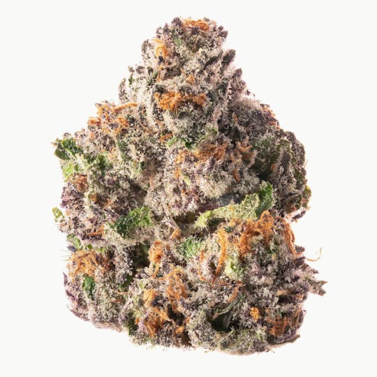 Quality Over Quantity - Guava Biscotti Flower - 1