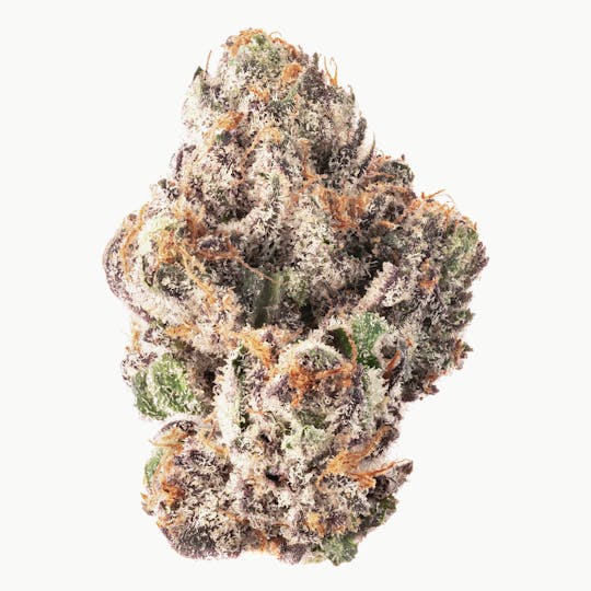 Quality Over Quantity - Royal Blueberry Gelato Flower 14g - 1