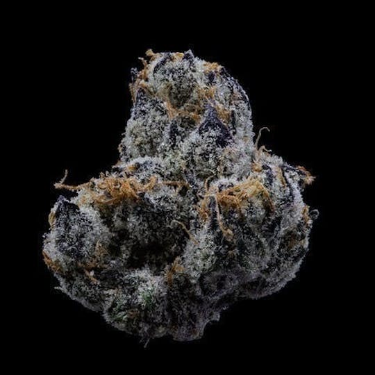 East Coast Cannabis - Purple Runtz - 1