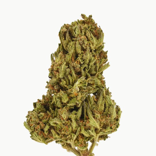 Smoakland - Eighthz | Hawaiian Runtz (H) | 3.5g - 1