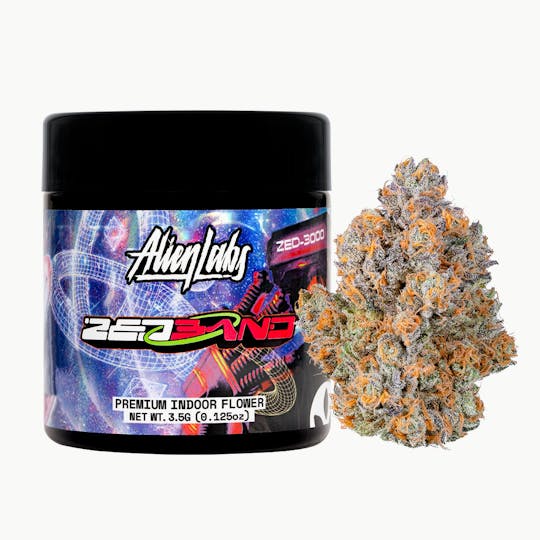 Alien Labs - Zedband - Indoor - 1
