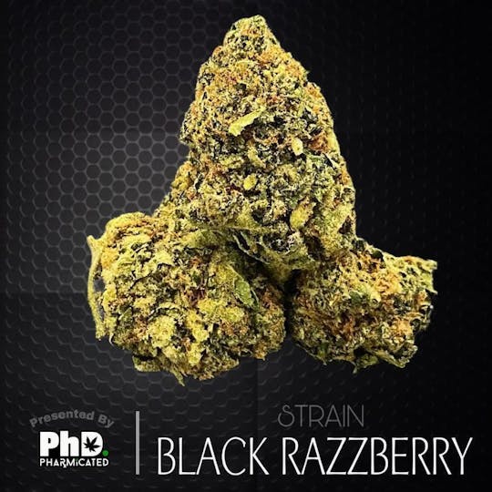 Pharmicated - PhD Indoor Flower - Black Razzberry (H) - 1