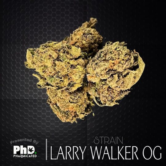 Pharmicated - PhD Indoor Flower - Larry Walker OG (I) - 1