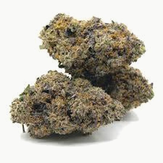 Original Intelligence - Blue Zkittlez (Blue Diamond X The Original Z) - 3.5g Baby Nugs - 1