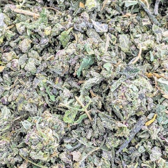 Original Intelligence - Blue Zkittlez (Blue Diamond X The Original Z) - 7g Sugar Shake - 1