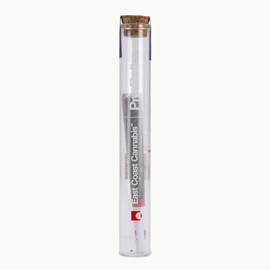 East Coast Cannabis - Boof Pre-Roll - 0.5g - 1