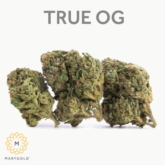 Marygold - True OG 3.5g (25% THC Indica) - 1