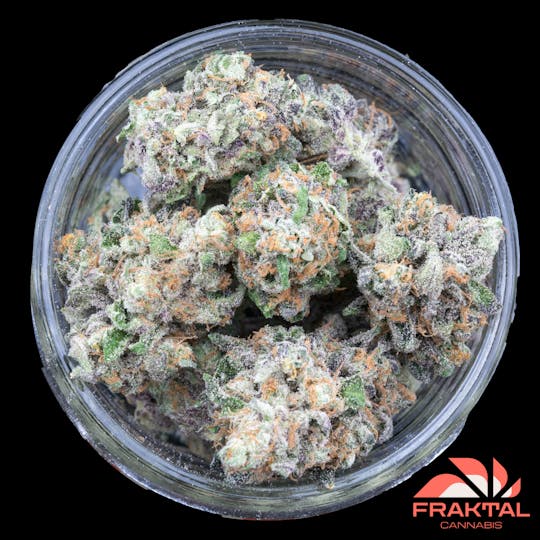 FRAKTAL - FRAKTAL - Alien Cookies - 1