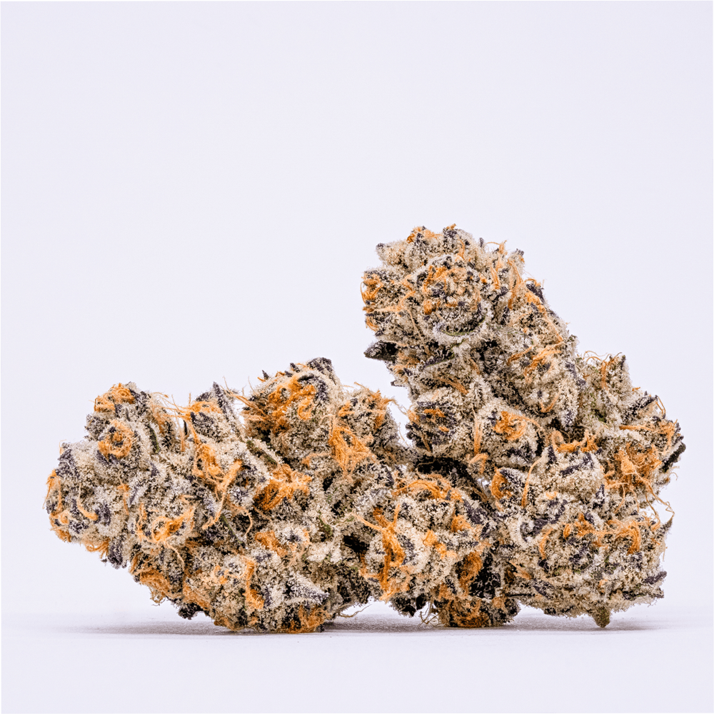 Original Intelligence - Gra-nimals (Grape Pie X Animal Cookies) - 1g Flower - 1