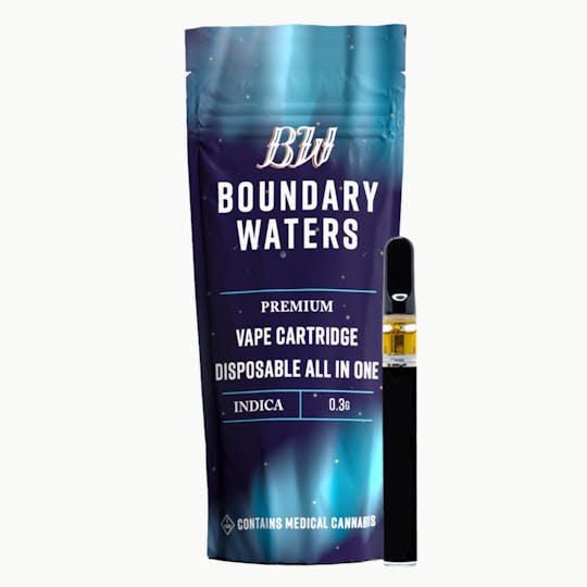 Boundary Waters - Cantaloupe Crush - Disposable - 1