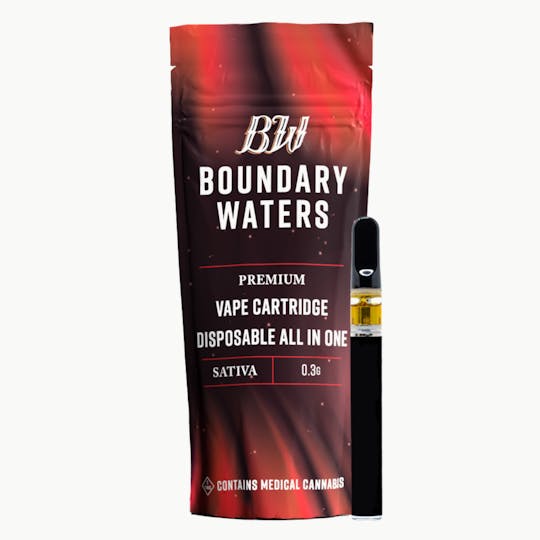 Boundary Waters - Electric Green Apple - Disposable - 1