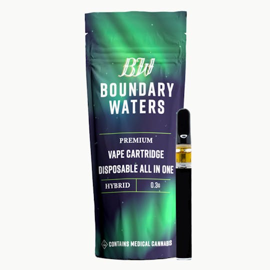 Boundary Waters - Pineapple Orange Burst - Disposable - 1