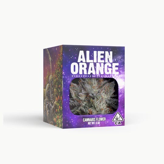 Decibel Gardens - Alien Orange (3.5) - 1