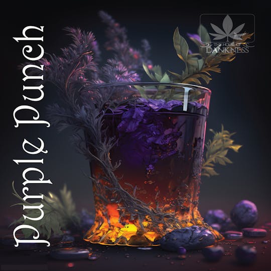 House Of Dankness - Purple Punch - 1