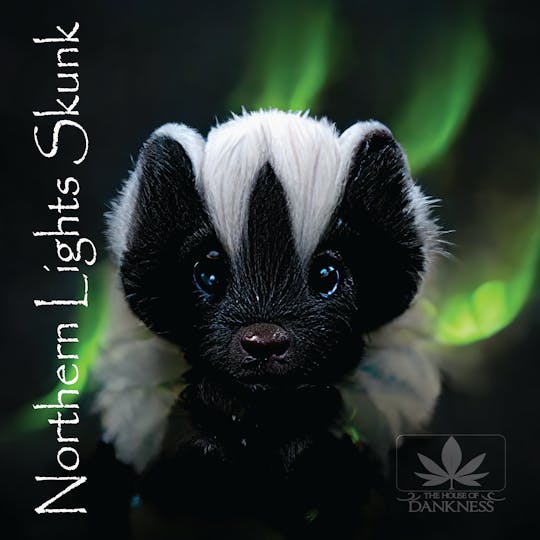 House Of Dankness - Northern Lights Skunk - 1