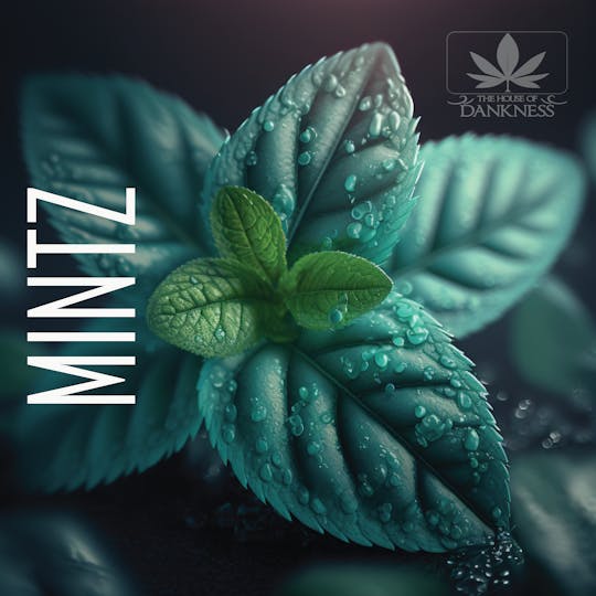 House Of Dankness - Mintz - 1