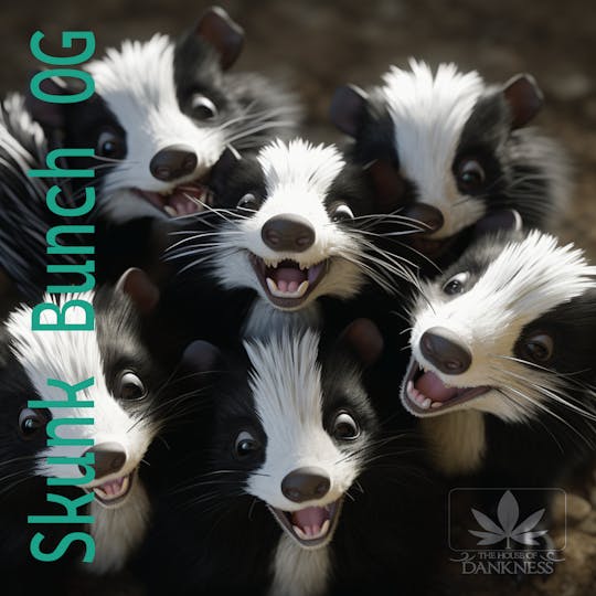 House Of Dankness - Skunk Bunch OG - 1