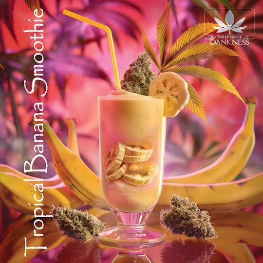 House Of Dankness - Tropical Banana Smoothie - 1