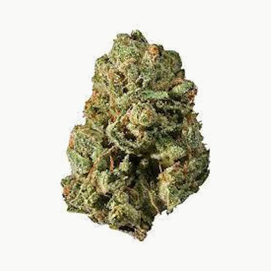 Cannafeen - MYSTIC GLUE - 1