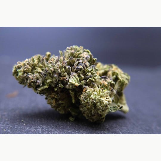 Trusty Transportations - Lemon Cherry Gelato 8th/3.5Grams(31%THC, Hybrid) - 1