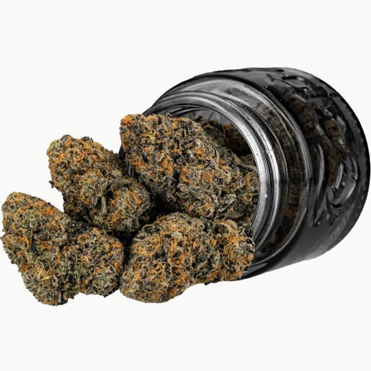 Top Shelf Cultivation - Speaker Knockerz | 3.5g - 1