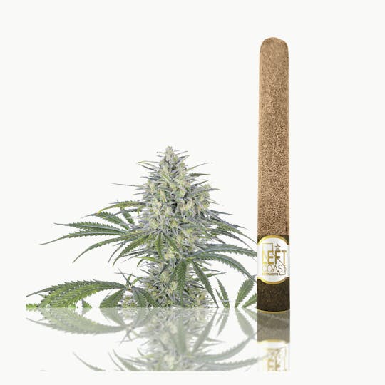 LEFT COAST - Premium Blunt Roll 2.2 Grams - Orange Creamsicle - 1