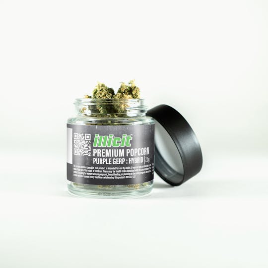 ILLICIT - Purp Gerp 7g Popcorn Flower - 1