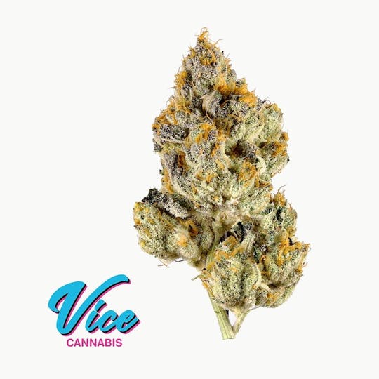 Vice Cannabis - Lemon Gelato: Flower - 1