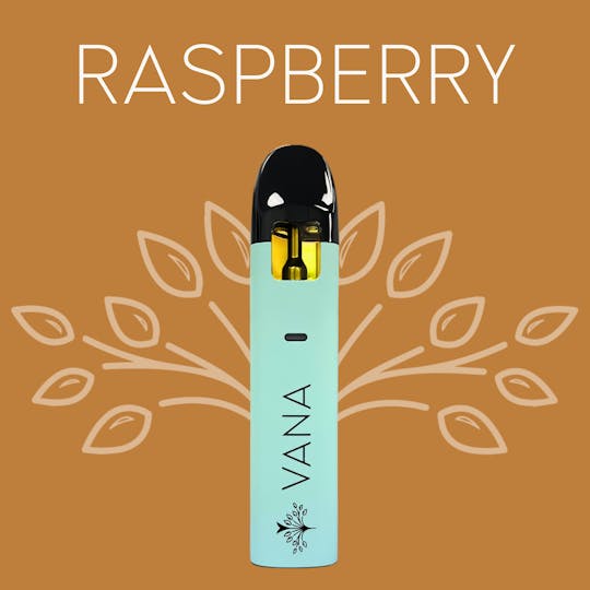 Vana - Raspberry - 2 Gram Disposable - 1