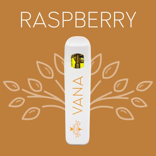 Vana - Raspberry - 1 Gram Disposable - 1