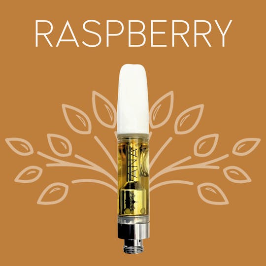 Vana - Raspberry - 1 Gram Cartridge - 1