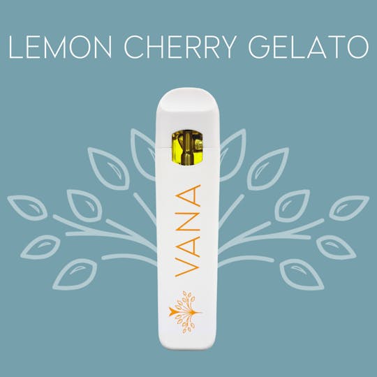 Vana - Lemon Cherry Gelato - 1 Gram Disposable - 1