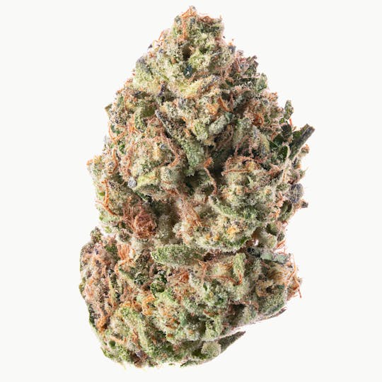Hype Train - Champagne Showers Flower 3.5g - 1