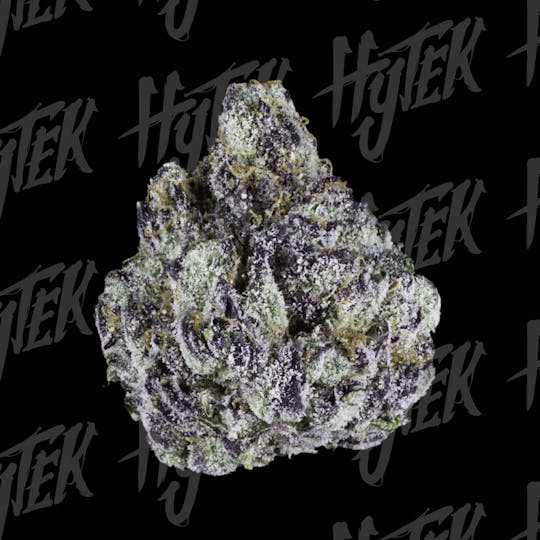 Hytek - HYTEK | RUNTZ | BULK DELI FLOWER - 1