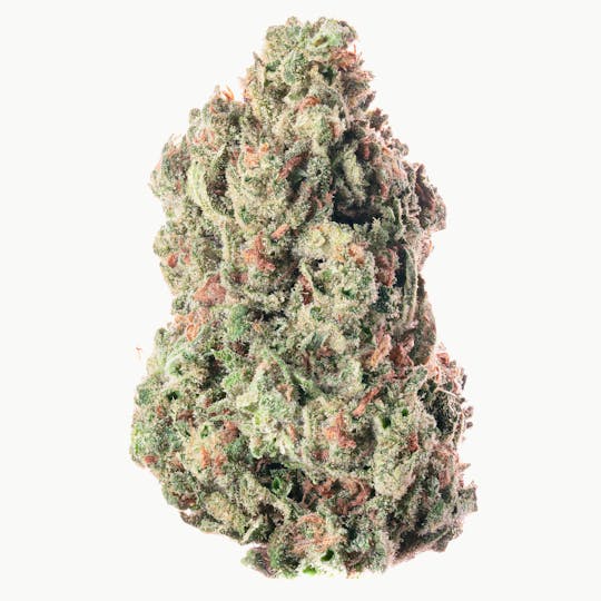Joy Ridge Farms - Blueberry Shortcake Flower - 1