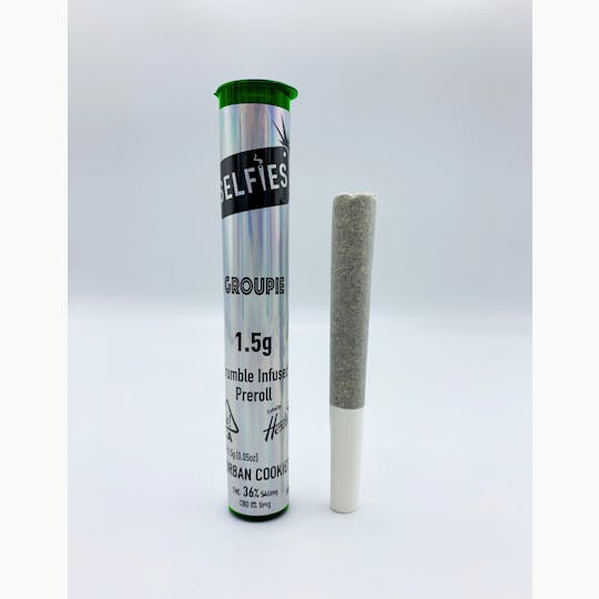 SELFiES - Groupie Infused Preroll (1.5g) - Durban Cookies - 1