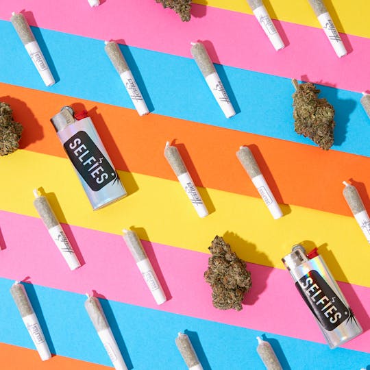 SELFiES - Infused Preroll 2 Pack (.5g) - Gelato Crunch - 1
