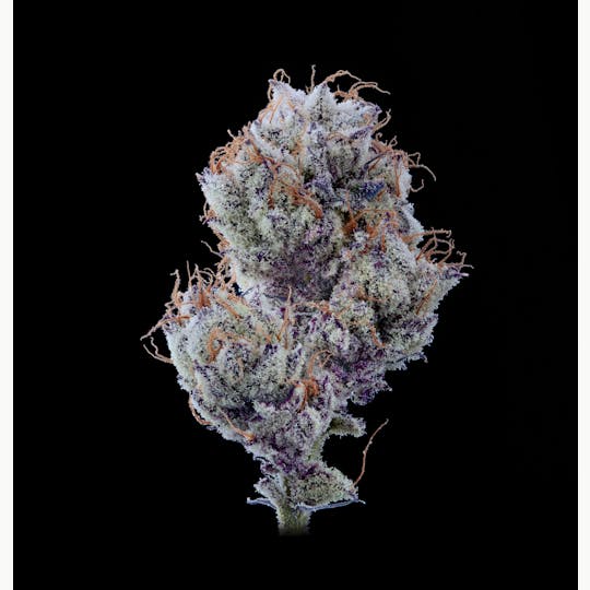 Auraz - Premium Flower | Chimera - 1