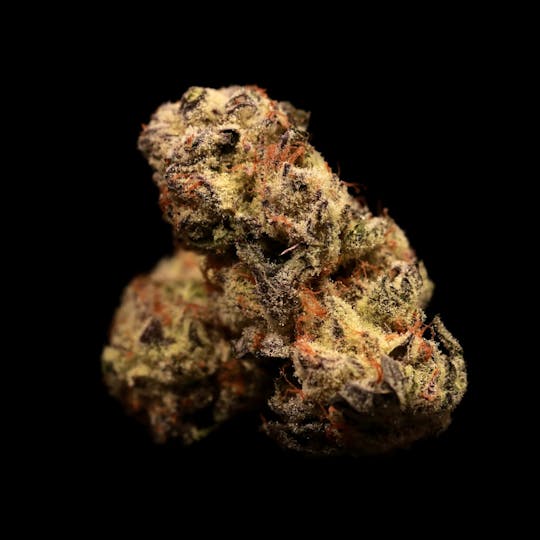 Auraz - Premium Flower | Piña Colada - 1