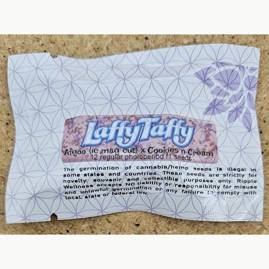 Ripple Wellness - Seeds - Laffy Taffy - 12ct Seed Pack - 1