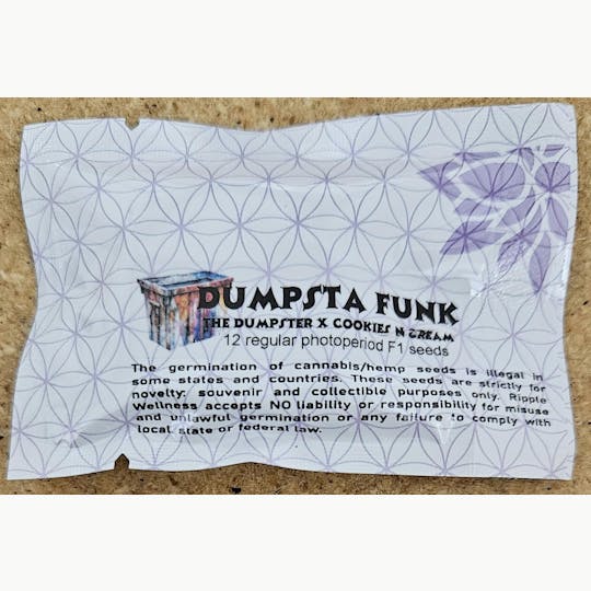 Ripple Wellness - Seeds - Dumpsta Funk - 12ct Seed Pack - 1