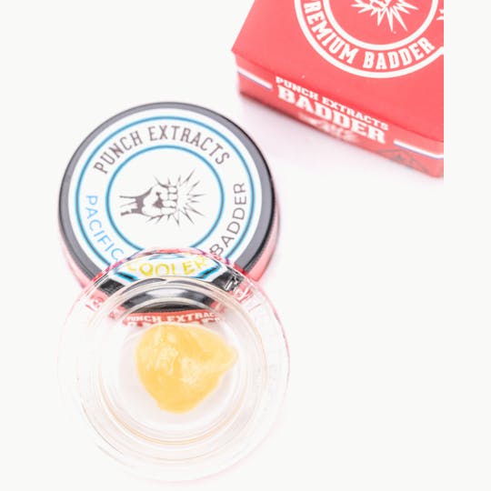 Punch Edibles & Extracts - Pacific Cooler BHO Badder (1g) - 1