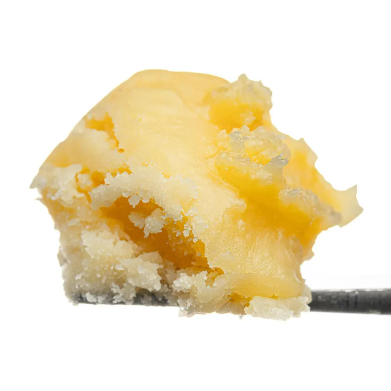 West Coast Cure Banana Pudding Live Resin Badder