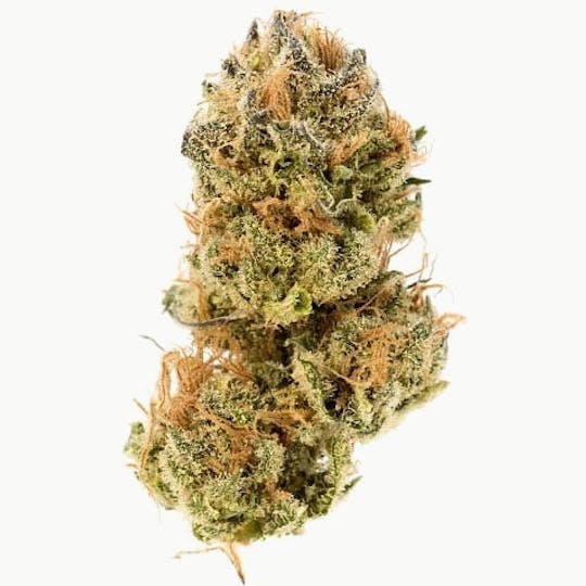Modern Flower - 14g Whole Flower - Hybrid - 1