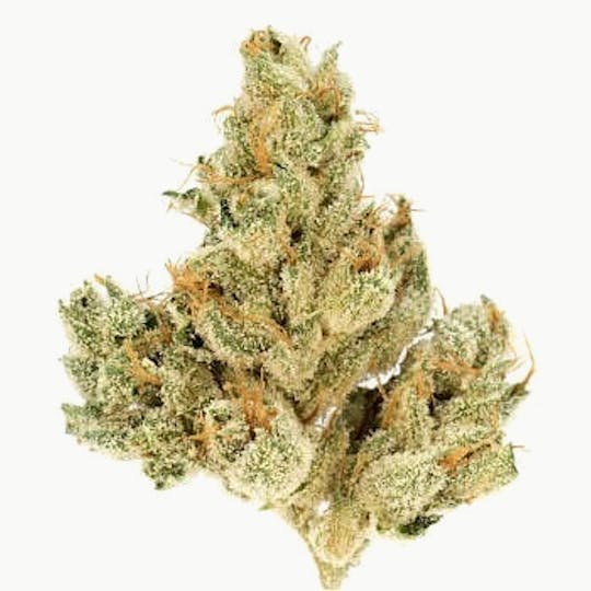 Modern Flower - 3.5g Whole Flower - Hybrid - 1