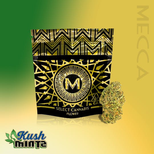 Mecca - Kush Mintz - 1