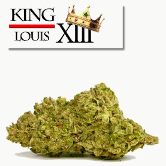 Mecca - King Louis XIII - 1