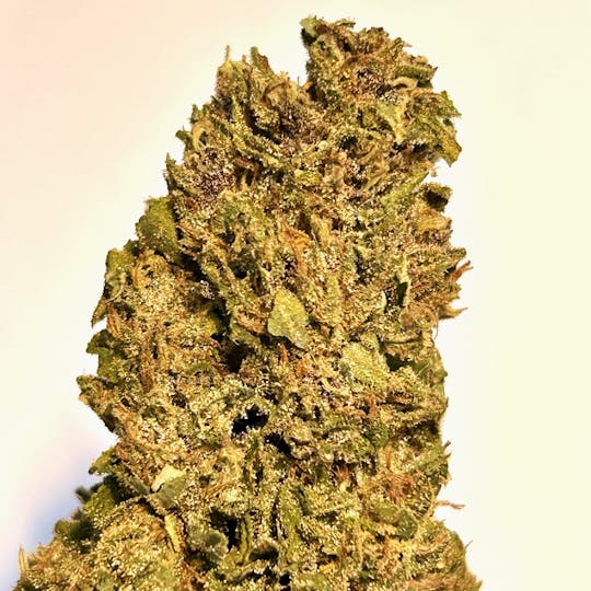 Daedalus Craft Cannabis - $100 Ounce of the Day - Kauai Kushwreck - 1