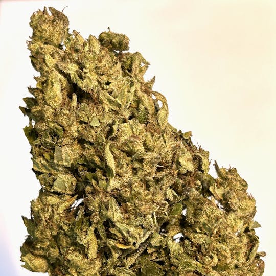 Daedalus Craft Cannabis - East Coast Sour Diesel - 1