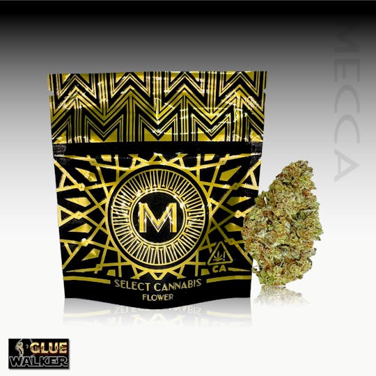 Mecca - Glue Walker - 1